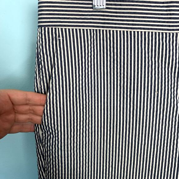 Ann Taylor Seersucker Devin Fit Ankle Pant Size 10 - Picture 4 of 8